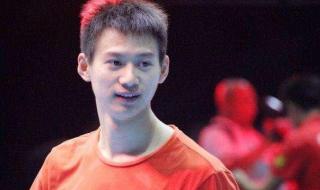 中国男乒挺进四强