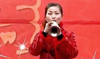 安徽民间小调刘小燕 安徽民间小调刘小燕